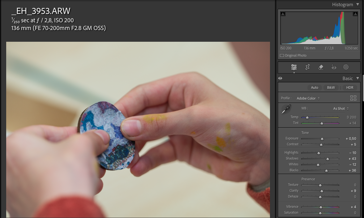 Näidisfoto sellest, kuidas ürituste fotosid prograami Adobe Ligtroom Classic abil töödelda.